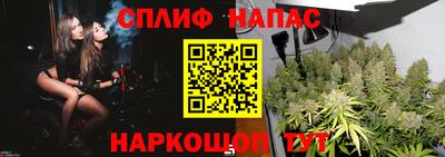 стаф Ливны