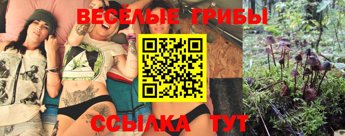 купить закладку  Псилоцибиновые грибы Cubensis  Вязники  Вход с VPN  Псилоцибиновые грибы Psilocybine cubensis 